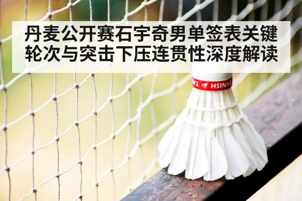 badminton shuttlecock net
